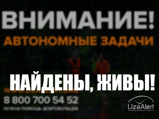 Поисковики из «Лиза Алерт»: заблудившиеся в Красносельском районе жители Костромы повели себя правильно