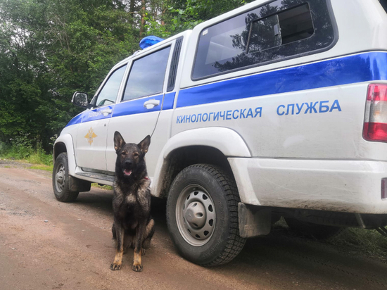 Овчарка Оли обнаружила труп 36-летней петербурженки под Валдаем