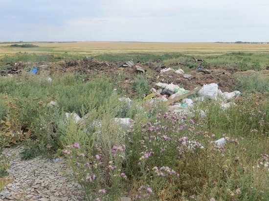На сельхозземлях Владимирской области нашли десятки незаконных свалок