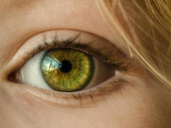 Ученые из Петербурга создали две модели хрусталиков глаза