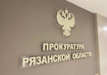 Прокуратура Рязанского района взяла на контроль расследование массовой аварии под Рязанью