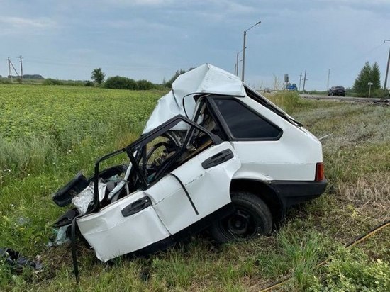 Под Воронежем водитель легковушки попал под грузовик на встречной полосе и погиб