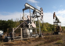 Вашингтон ожидает в ближайшие недели заявления ОПЕК о потенциальном наращивании добычи нефти