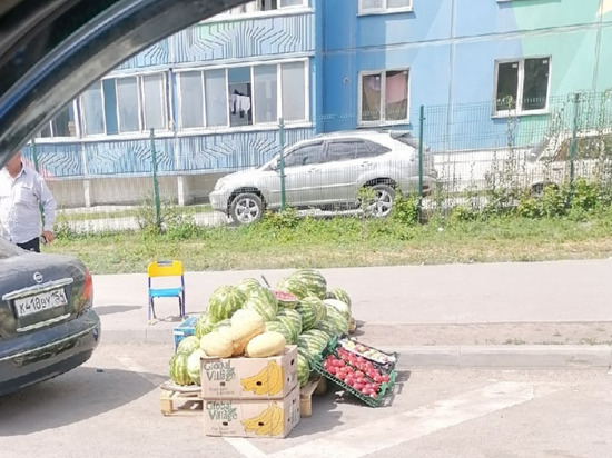 «Кто должен следить»: новосибирцев возмутила торговля арбузами прямо на дороге