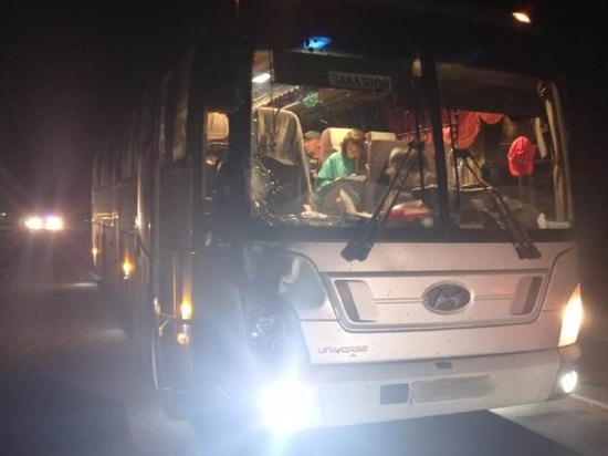 Пешеход погиб после столкновения с автобусом на Чуйском тракте
