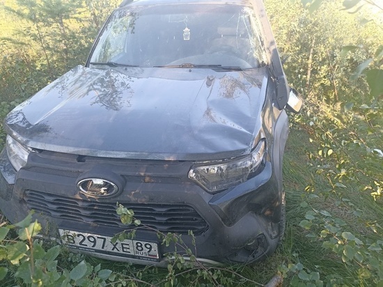 В Надымском районе пострадал водитель вылетевшей в кювет легковушки