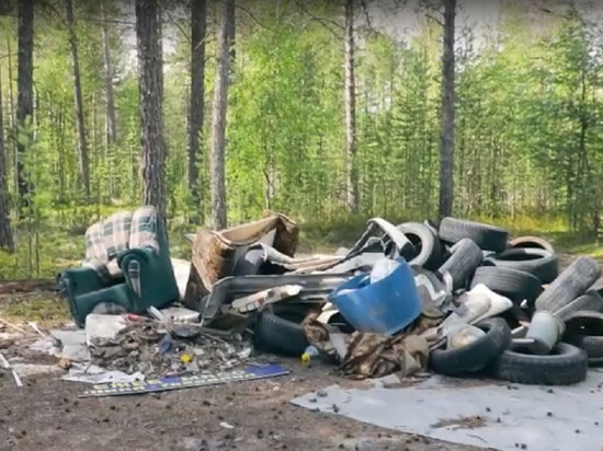 По 500 кубометров авторезины и строительного мусора вывезли из лесов Ноябрьска