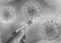 В Забайкалье за прошедшие 24 часа выявлено 10 новых случаев заражения коронавирусом