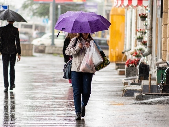 Дожди и грозы обещают синоптики в Томской области 18 июля