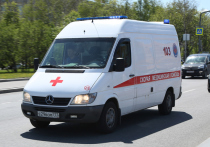 Нападение на водителя автобуса произошло 17 июля в деревне Луговая Пушкинского района