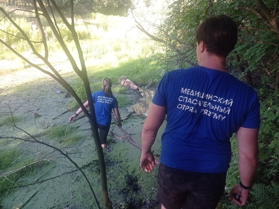 В Рязани волонтёры спасли застрявшего в болоте бездомного пса