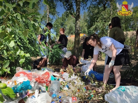 В воронежском парке «Дельфин» волонтёры собрали 40 мешков мусора