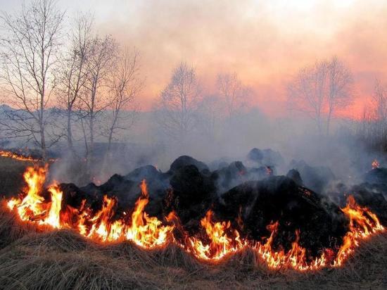 Забайкалец возместил траты на тушение степного пожара возле села