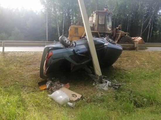 Жуткая авария, в которой погибли женщина и овчарка, случилась в Ивановской области