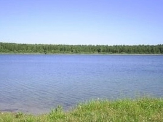 9-летнего мальчика избили пьяные дебоширы на Даниловом озере в Новосибирской области