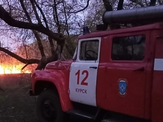 Стали известны подробности пожара на пилораме под Курском