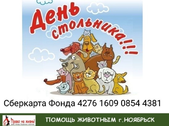 В фонде помощи животным Ноябрьска объявили «День стольника»