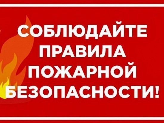 На Ямале горит 620 га леса