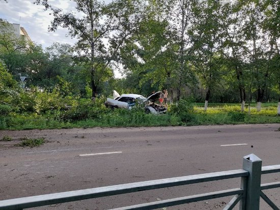 Пьяный водитель Chaser врезался в дерево в Краснокаменске