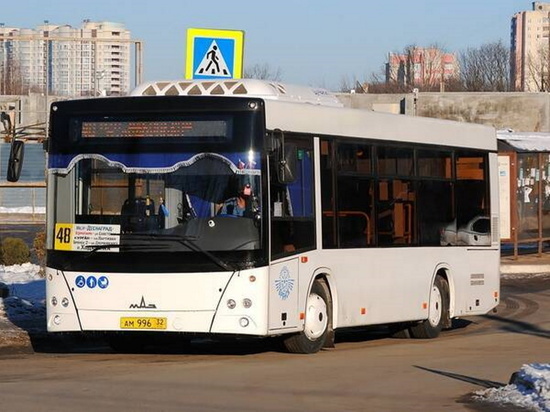 Брянчанку возмутило отсутствие вечерних автобусов на Флотскую улицу