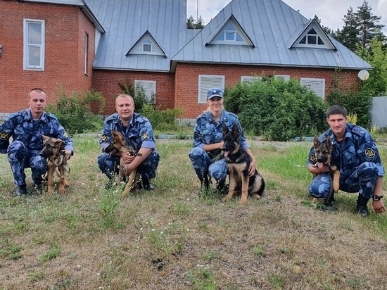 Четырёх щенков немецкой овчарки приняли в штат кинологической службы УФСИН России по Тамбовской области