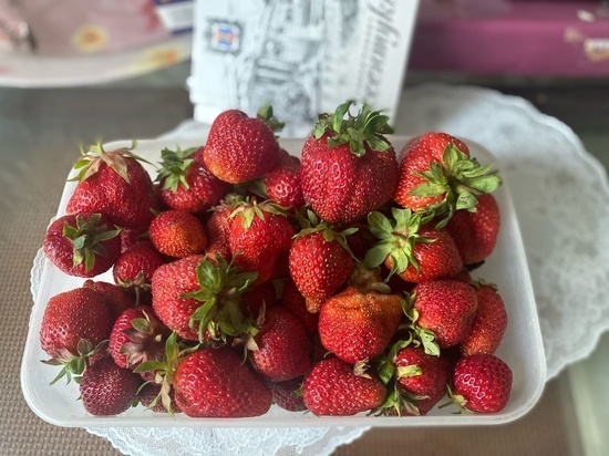 Врач Половодова предупредила об опасности переедания ягод
