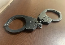 Под Сасовом 35-летняя женщина украла украшения из дома