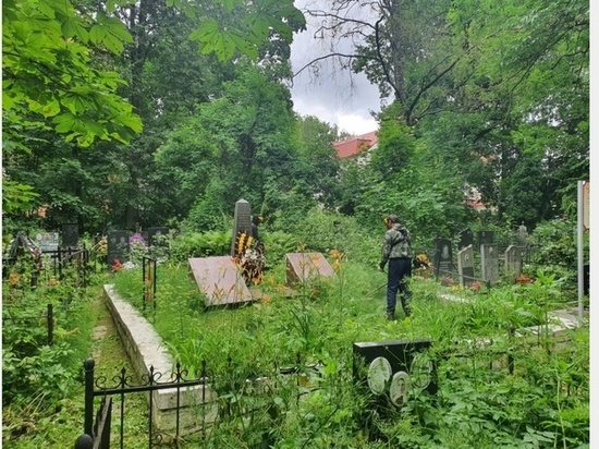  Территория братской могилы в Смоленске приведена в порядок