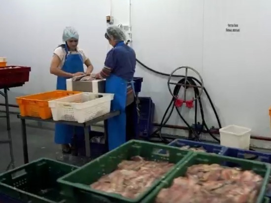 Калмыцкий производитель рыбной продукции выходит на международный рынок
