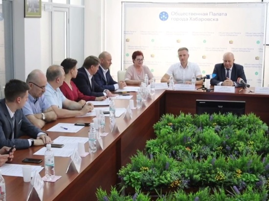 Ректор академии физкультуры вновь возглавил Общественную палату Хабаровска