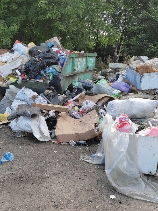 Стихийную свалку не вывозят в кузбасском городе