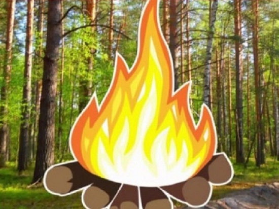 На Ямале спасатели тушат 27 лесных пожаров