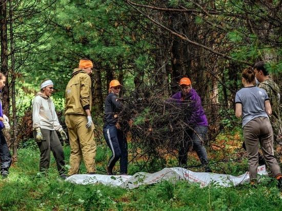 Волонтеры Бурятии приняли участие в акции «Сохраним леса Байкала»