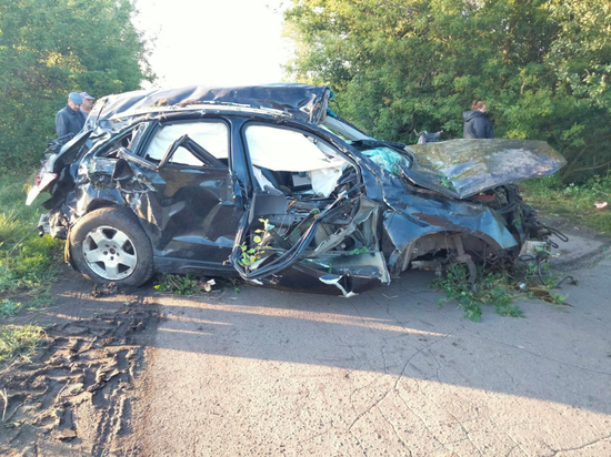 В Инжавинском районе перевернулась иномарка – погиб водитель и пассажир