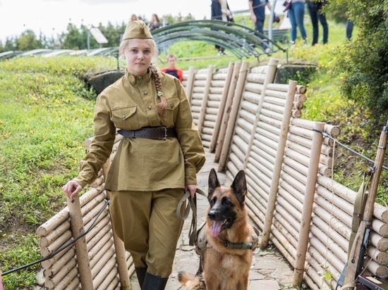 Музей Победы предложил детям Ставрополья написать рассказы о собаках
