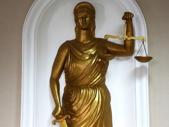 Адвоката и директора коммерческой фирмы осудили в Чите за мошенничество