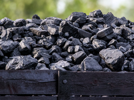 В Польше заявили о крахе угольного рынка страны