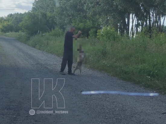 Задушивший на глазах у прохожих собаку мужчина разозлил кузбассовцев