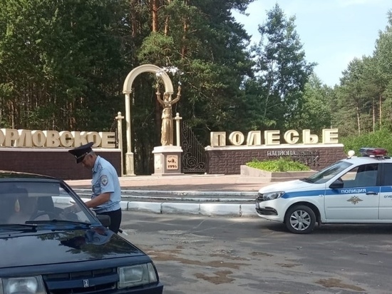 В Орловской области почти 700 водителей лишили водительских удостоверений