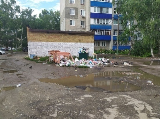 Пензенцы пожаловались на кражу мусорного контейнера