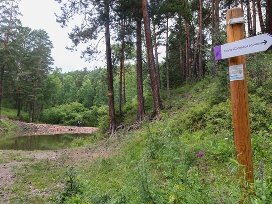 В 2022 году в красноярском экопарке «Гремячая грива» благоустроят территорию у ручья Серебряниковский