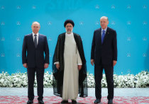 Президенты России, Ирана и Турции на саммите астанинского процесса во вторник 19 июля в Тегеране приняли совместное заявление по ситуации в Сирии, сообщил Владимир Путин