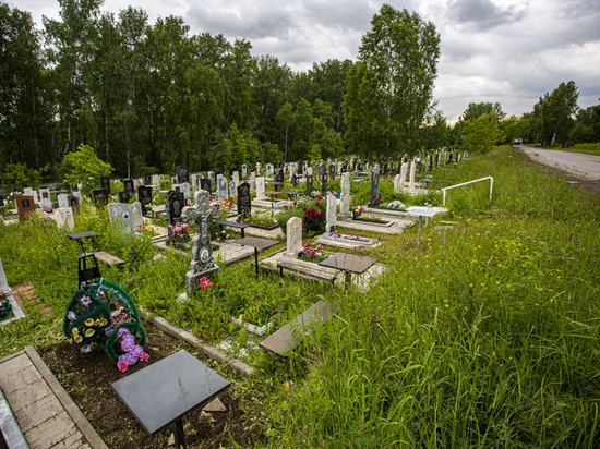Мэрия Новосибирска проиграла апелляцию по границам и санитарной зоне Клещихинского кладбища