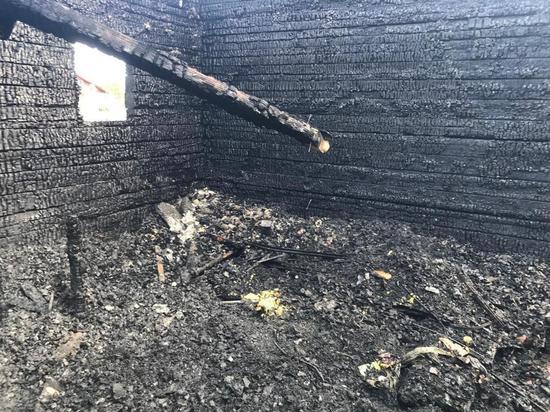 Четырехлетняя девочка погибла при пожаре в садоводческом товариществе в Екатеринбурге
