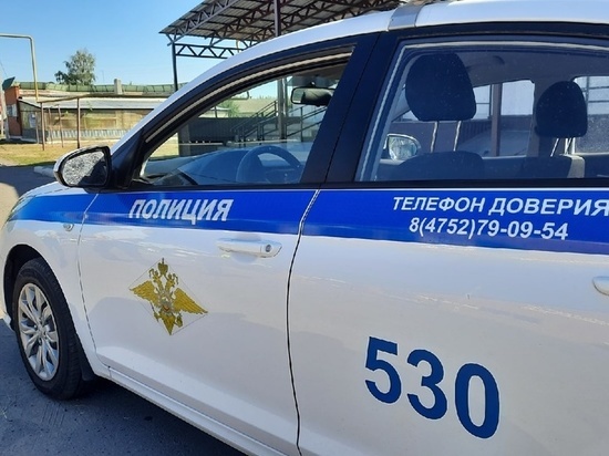За сутки тамбовские госавтоинспекторы отстранили от управления 11 пьяных водителей