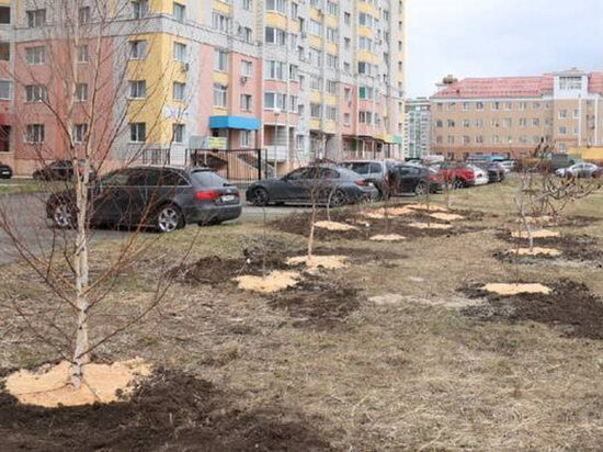 В Брянске поясится пристройка к зданию налоговой службы