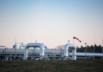 Читатели немецкой газеты Die Welt потребовали от правительства ФРГ запустить поставки газа по трубопроводу «Северный поток-2» и таким образом обеспечить энергетическую безопасность страны