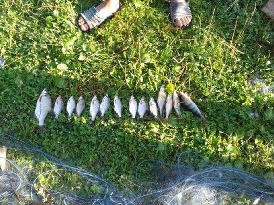 Забайкальцам грозит до 5 лет за ловлю рыбы сетями в местах её нереста