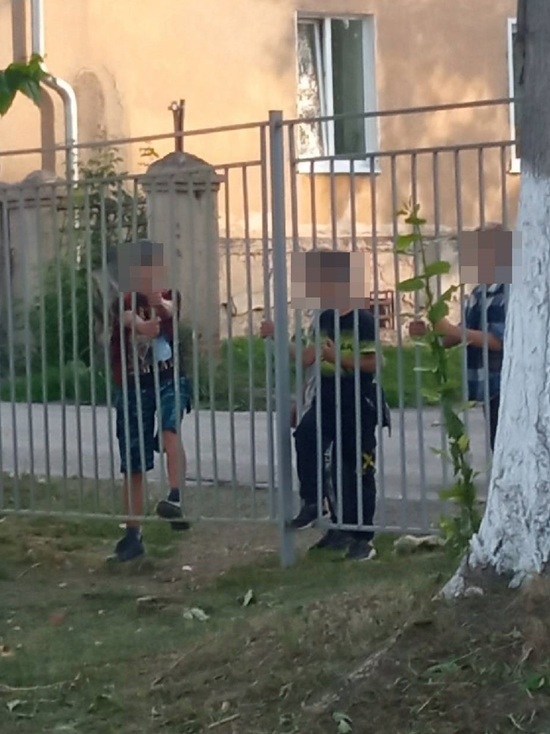 Ломающие забор малолетние вандалы возмутили кузбассовцев