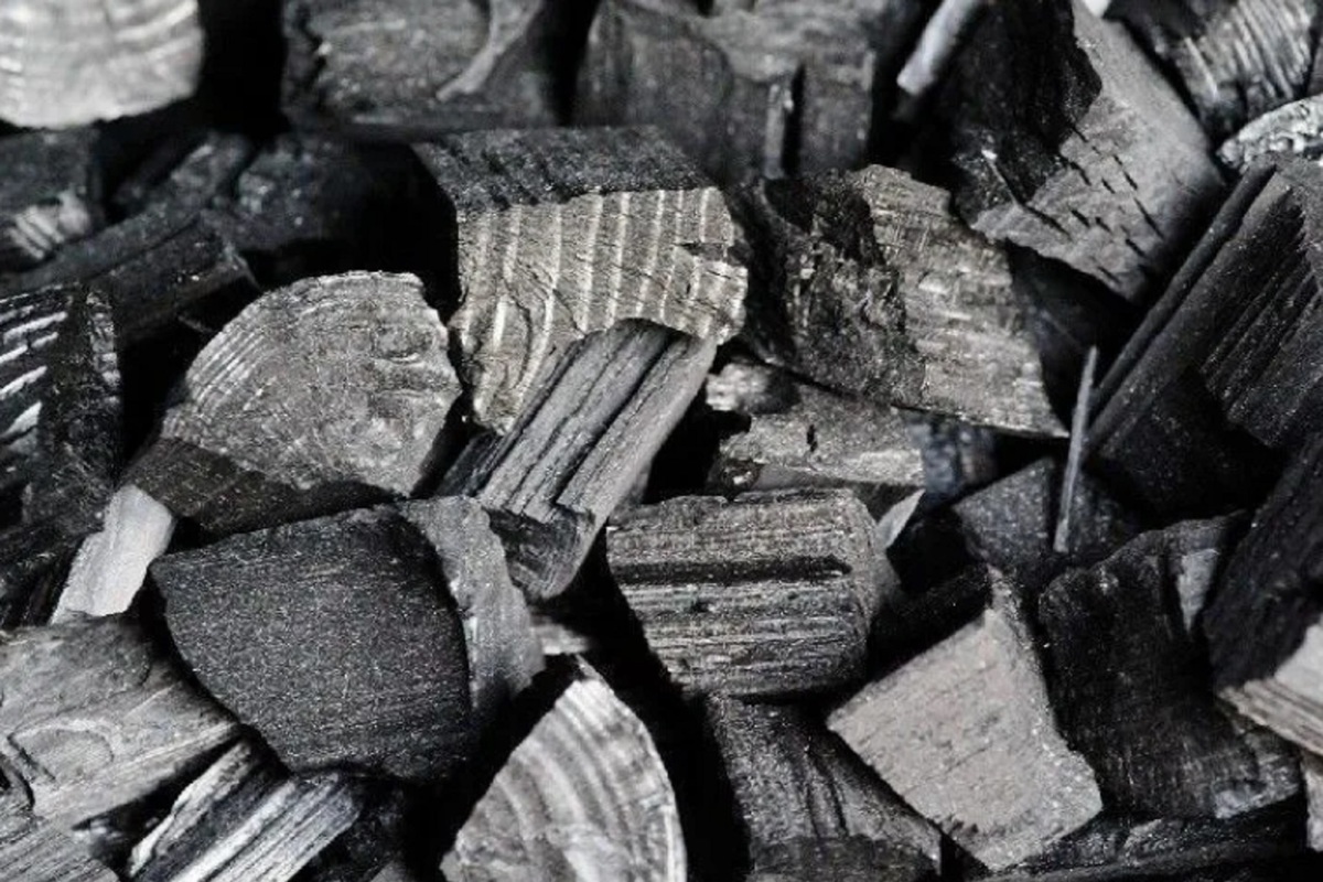 Природоохранная прокуратура и департамент природных ресурсов выявили очередные незаконные точки производства угля